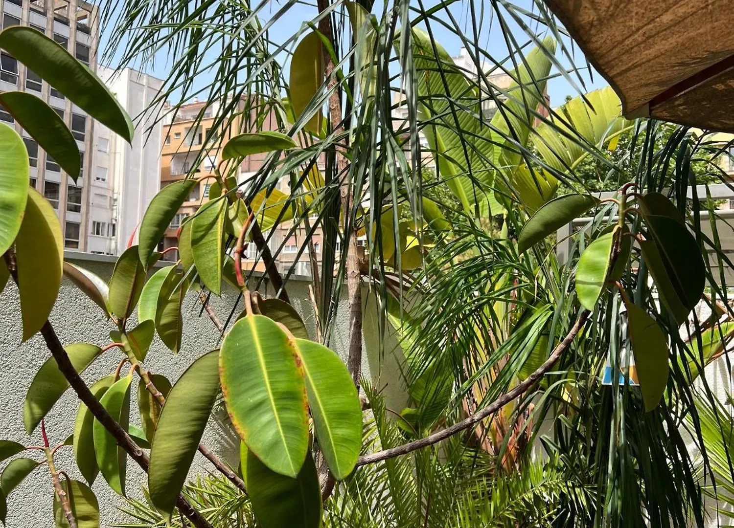 Modernismo Paseo De Gracia Apartment Barcelona